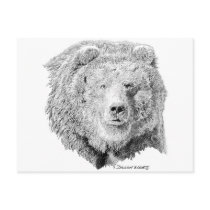 Grizzy Bear Post Card