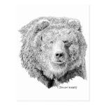 Grizzy Bear Postcards