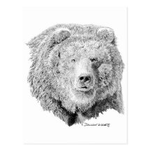 Grizzy Bear Postcards