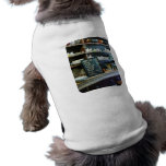 Groceries in General Store pet clothing