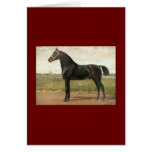Groningen by Otto Eerelman Greeting Card