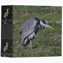 Grooming Heron Avery Binder