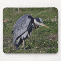 Grooming Heron Mouse Pads