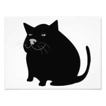 Gros chat noir photographe