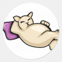 Gros chat sur le coussin adhésif rond