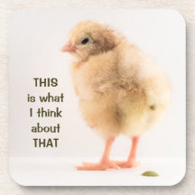 Gross Baby Chick Pooping Photo Beverage Coaster