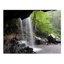 Grotto Falls Great Smoky Mountain Park Postcard postcards