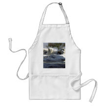 Grotto Geyser, Upper Geyser Basin, Yellowstone Nat Apron