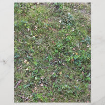 Ground Plants Growing In Grass Field Full Color Flyer