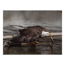 Ground School Photographic Print