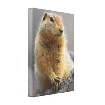 Ground Squirrel Canvas Print