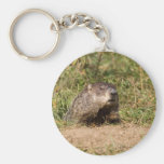 Groundhog Key Chain