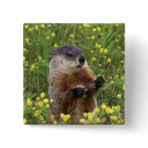 Groundhog Pose Pin