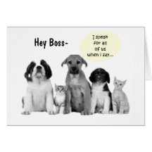 GROUP BOSS'S BIRTHDAY HUMOR" GREETING CARDS