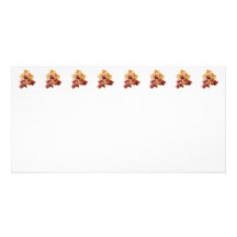 Group of Yellow and Magenta Orchids Picture Card