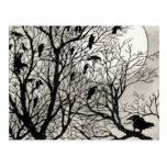 GROUP THERAPY POSTCARD