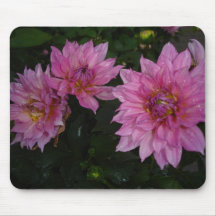 Groupe de dahlia tapis de souris