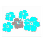 Groupe de ketmie turquoise cartes postales