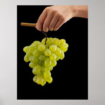 Groupe de raisins posters