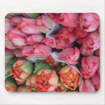 Groupes de tulipes au marché dans le tapis de sour
