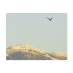 Grouse Mountain, BC Postcard