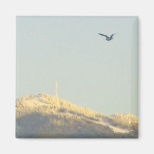 Grouse Mt et aimant de mouette