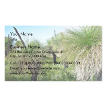 Grove of blackboy trees business card templates