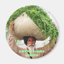 Grow Green Refrigerator Magnets