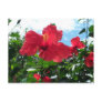 Grow Toward the Sky postcard