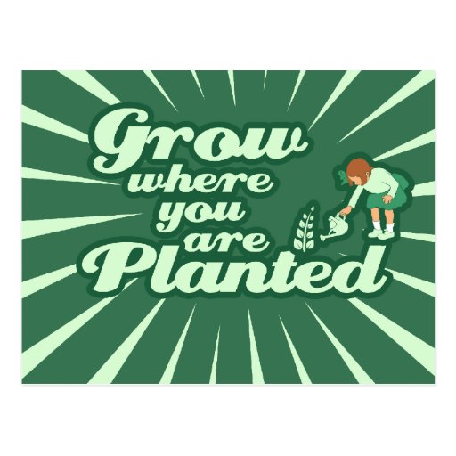 Grow where you are planted post card