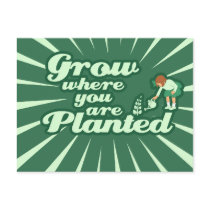 Grow where you are planted post card