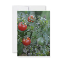 Growing Tomatoes in a Garden Personalized Invitations