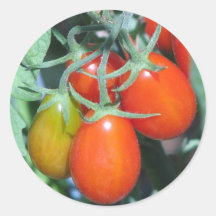 Growing Tomatoe's Sticker