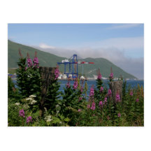 Grue d'APL dans le port néerlandais, Alaska Cartes Postales