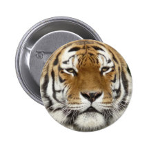 Grumpy Buttons