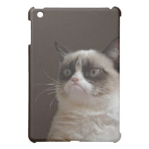 Grumpy Cat Glare