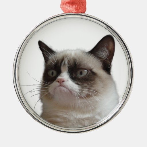 grumpy cat grumpy glare christmas ornament zazzle grumpy cat grumpy glare christmas ornament zazzle
