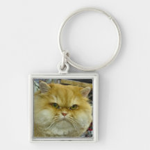 Grumpy Cat Photo Key Chain