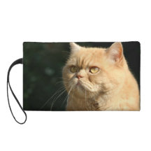 Grumpy Cat Wristlet Clutch