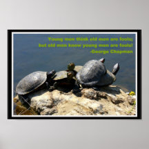 Grumpy Turtles Poster