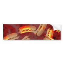 Grunge Hotdogs Bumper Sticker