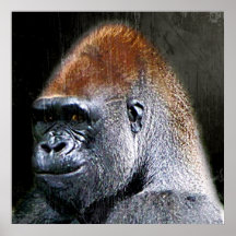 Grunge Lowland Gorilla Close-up Face Print
