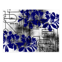 Grunge Pattern 186 postcards