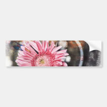 Grungy and Pink Bumper Stickers
