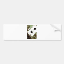 grungy daisys bumper stickers