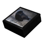 Grungy Raven; Yukon Territory Souvenir Gift Box