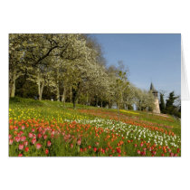 Grusskarte Frühling in Deutschland