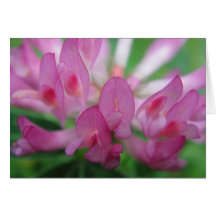 Grusskarte Kleeblütenblätter in pink, blanko