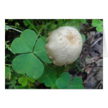 Grusskarte kleiner Pilzhut mit Kleeblatt, blanko