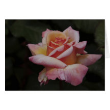 Grusskarte pastellfarbene Rose
